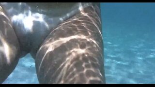 D секси кӧргӹш;da barra porto вӹдӹш, salvador bahia