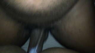 Süper ıslak kedi Başlarken becerdin itibaren the geri