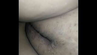 ���ौमित्र म्हणजे मांजर