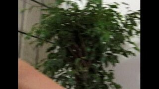 Metro - Lesbian Seks - kejadian 8 - ekstrak 2